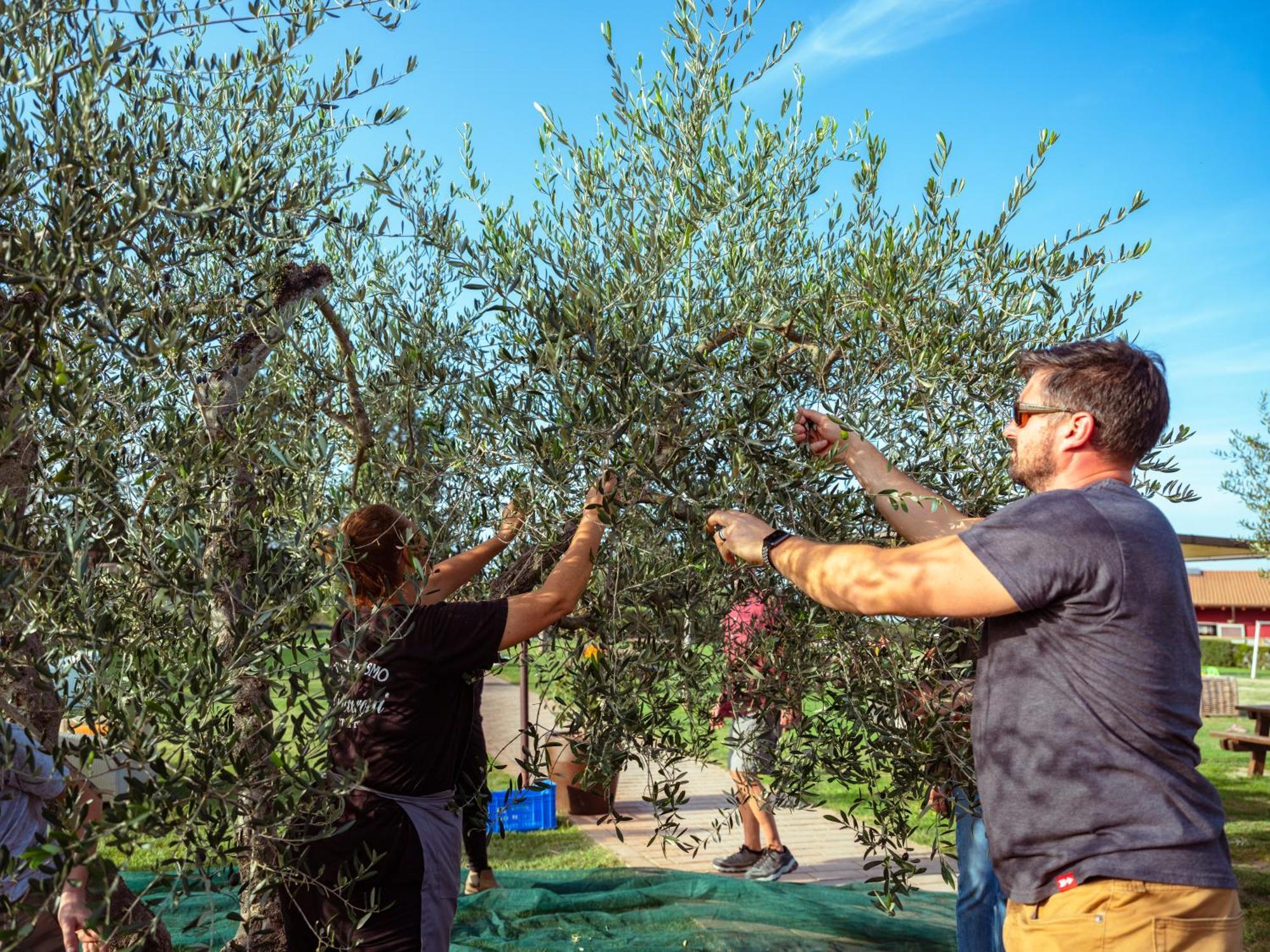 Agriturismo Biologico Diacceroni Villamagna  Exteriér fotografie