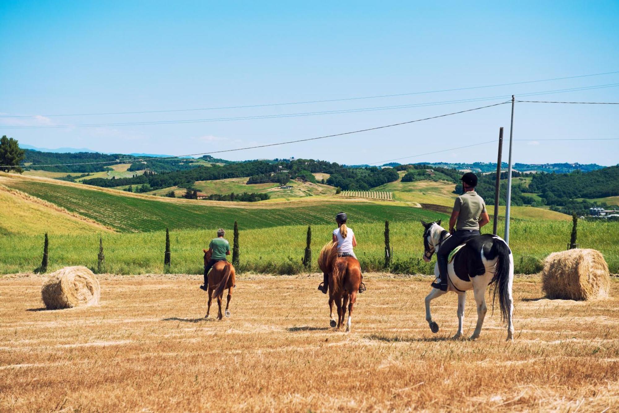 Agriturismo Biologico Diacceroni Villamagna  Exteriér fotografie