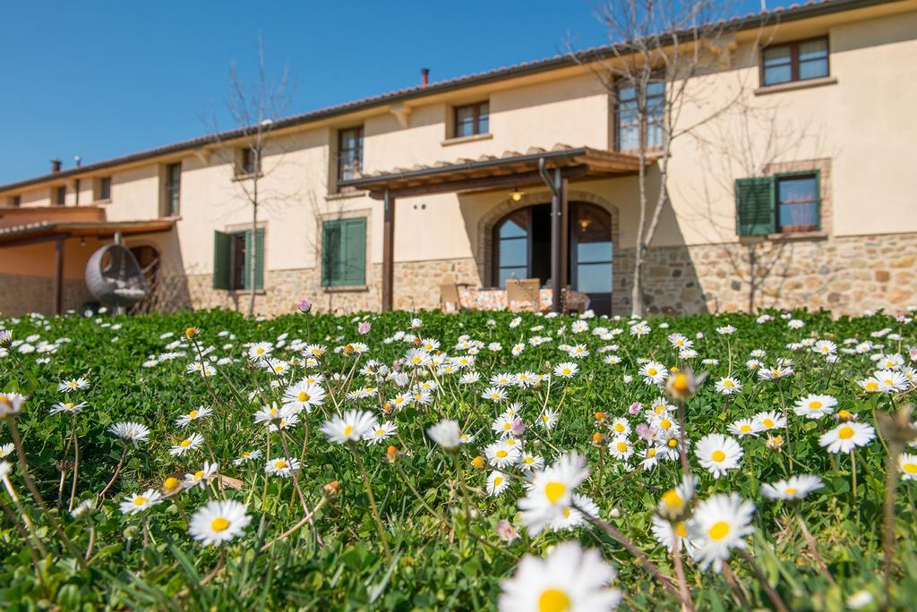 Agriturismo Biologico Diacceroni Villamagna  Exteriér fotografie